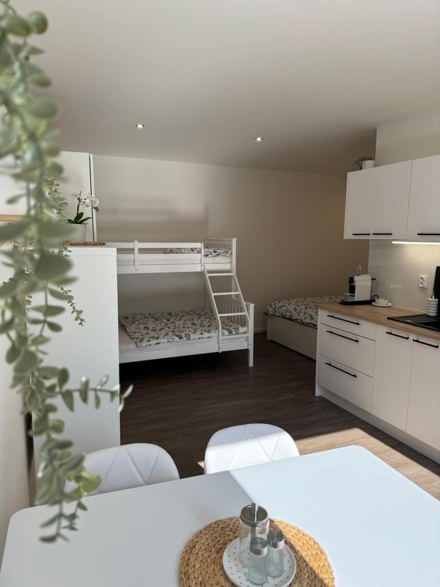 Rk Apartment #4 Brno Zewnętrze zdjęcie
